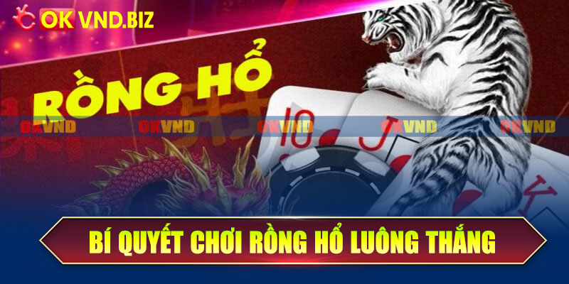 Bí quyết chơi rồng hổ luông thắng dành cho tân thủ