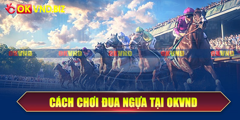 Cách chơi đua ngựa tại OKvnd