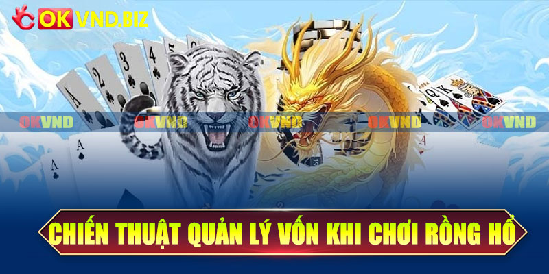 Chiến thuật quản lý vốn khi chơi rồng hổ OKvnd