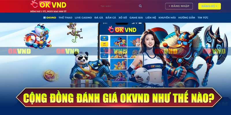 Cộng đồng đánh giá OKvnd như thế nào?