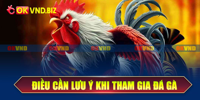 Những điều cần lưu ý khi cược đá gà trực tuyến