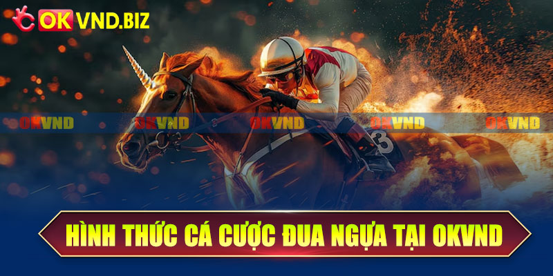 Hình thức cá cược đua ngựa tại OKvnd
