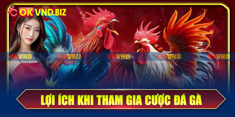 Lợi ích khi tham gia cá cược đá gà trực tuyến Okvnd