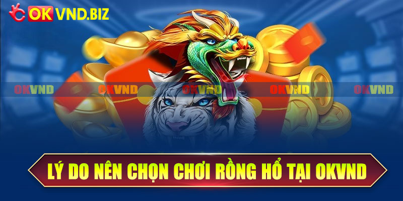 Lý do nên chọn chơi rồng hổ tại Okvnd