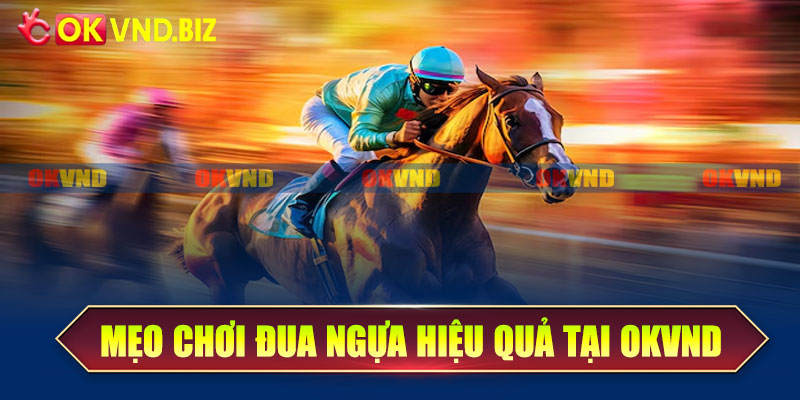 Mẹo chơi đua ngựa hiệu quả tại OKvnd