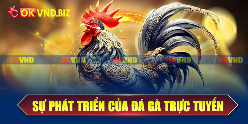 Sự phát triển của hình thức đá gà trực tuyến