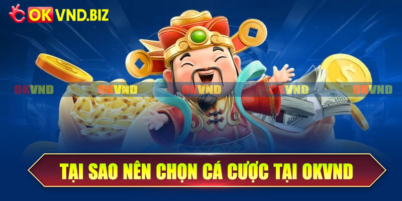 Tại sao nên chọn cá cược tại OKvnd
