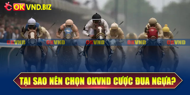 Tại sao nên chọn OKvnd để cá cược đua ngựa?