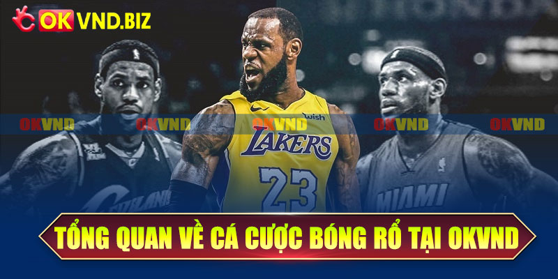 Tổng quan về cá cược bóng rổ tại OKvnd
