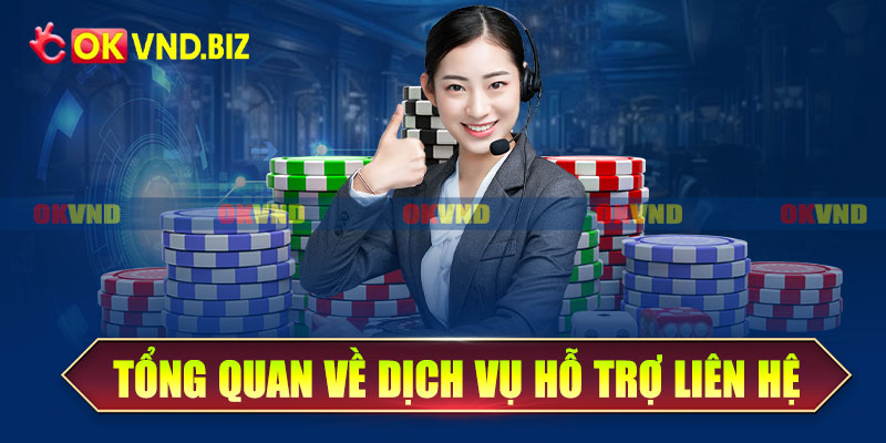 Tổng quan về dịch vụ hỗ trợ liên hệ OKvnd
